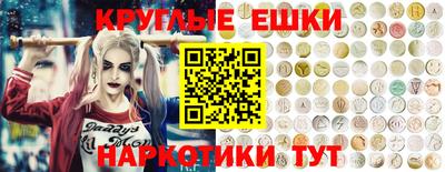 крисы Малгобек