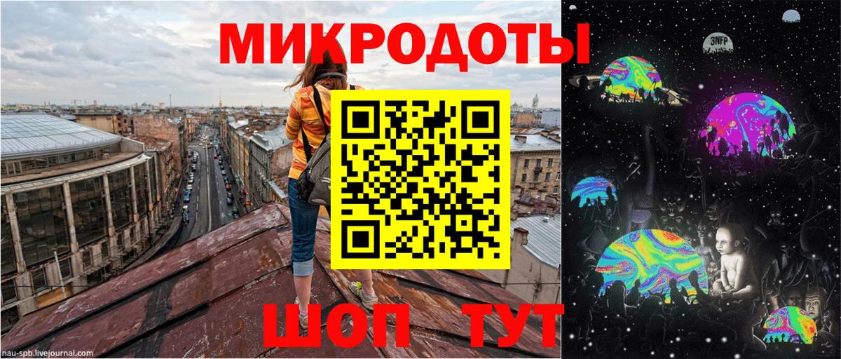 Псилоцибиновые грибы Psilocybe Туапсе
